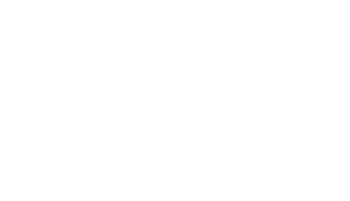 Griffin Arts Council
